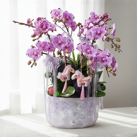 格蘭花店 - 粉花蝴蝶蘭8枝 [FB103] 蘭花 辦公室枱花 大堂枱花 開張 新春蘭花 年花 自家蘭花園種植