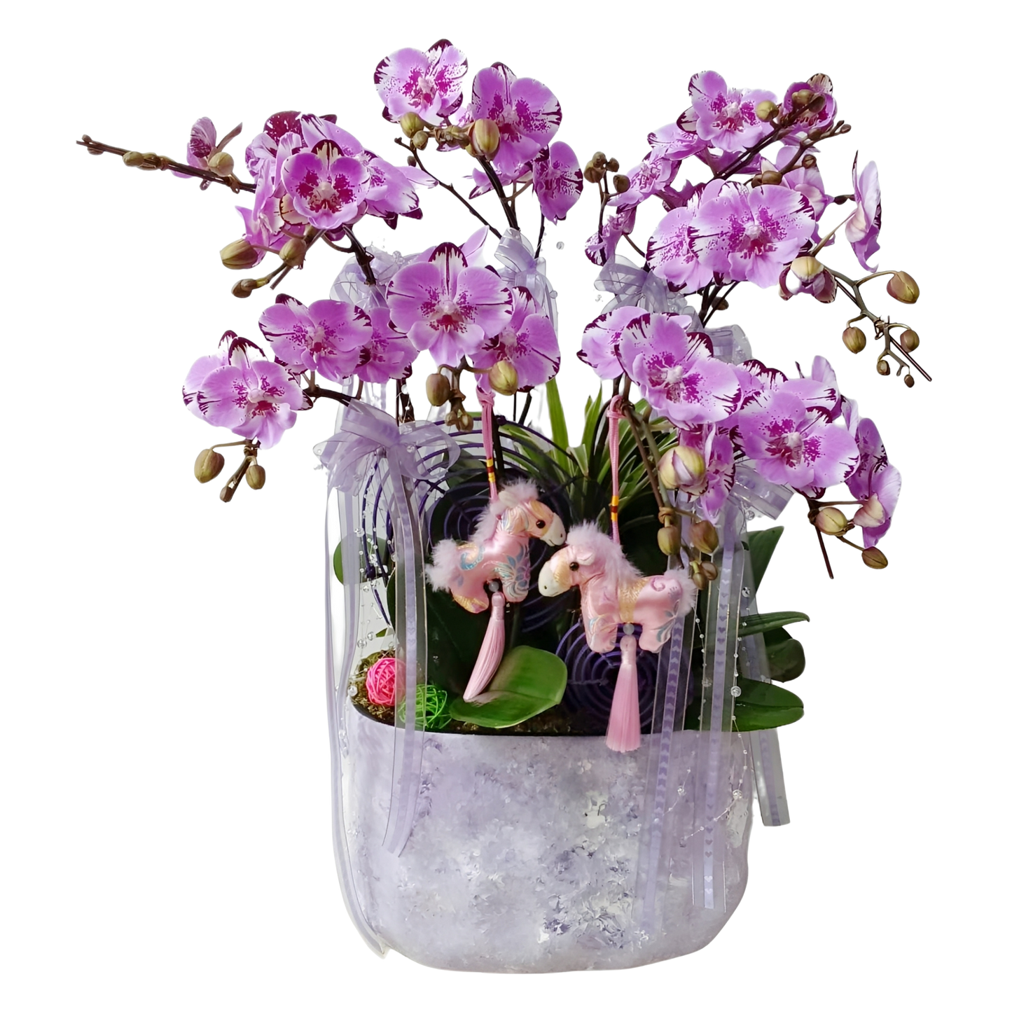 格蘭花店 - 粉花蝴蝶蘭8枝 [FB103] 蘭花 辦公室枱花 大堂枱花 開張 新春蘭花 年花 自家蘭花園種植