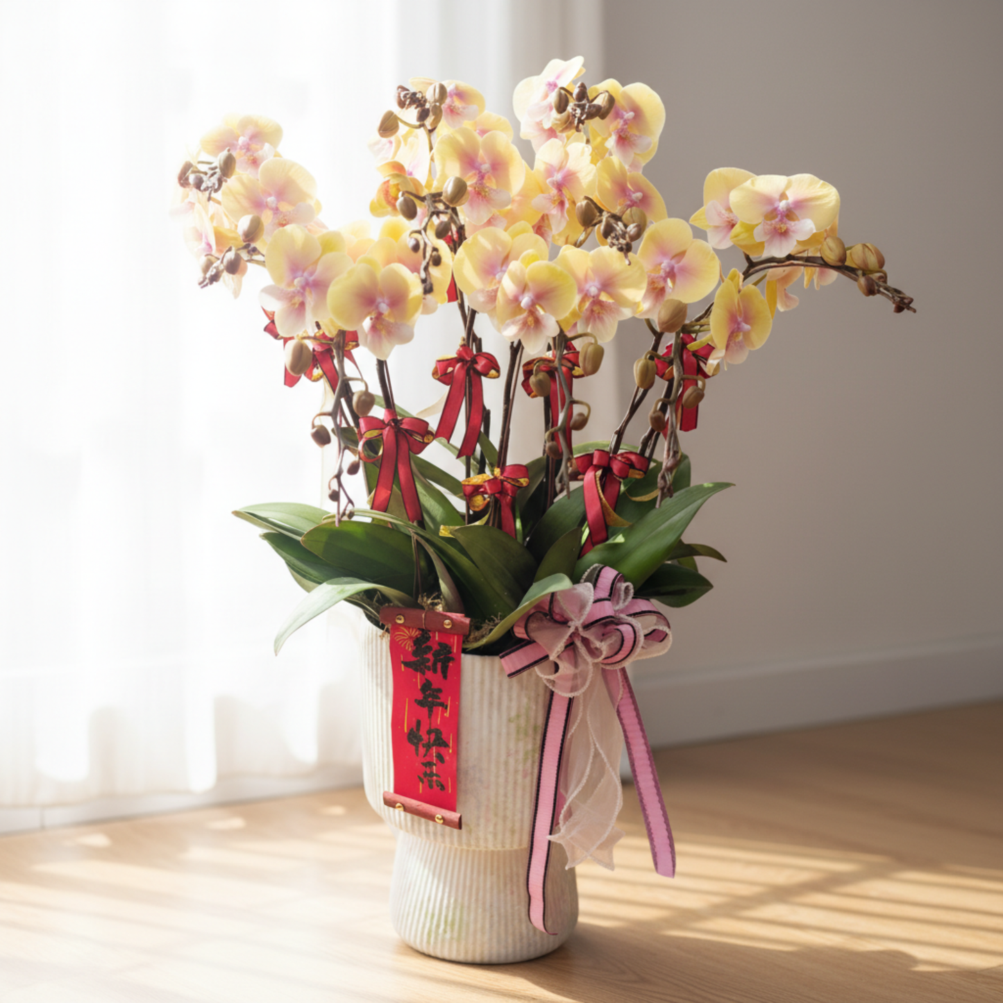 格蘭花店 - 大花蝴蝶蘭8枝 [FB107] 蘭花 辦公室枱花 大堂枱花 開張 新春蘭花 年花 自家蘭花園種植