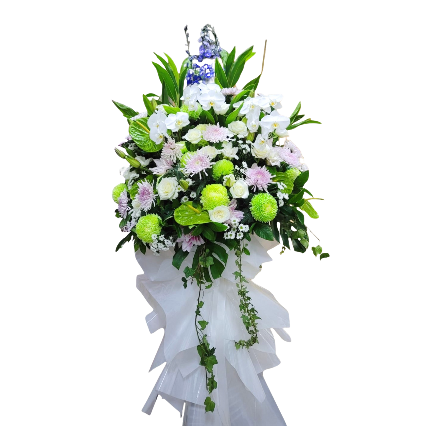 格蘭花店 - 白事花籃 (青鐵、蝴蝶蘭、綠大掌、西施菊、牡丹菊、玫瑰、小菊及襯花) [FS0016] 喪禮 殯儀 告別式 追思會