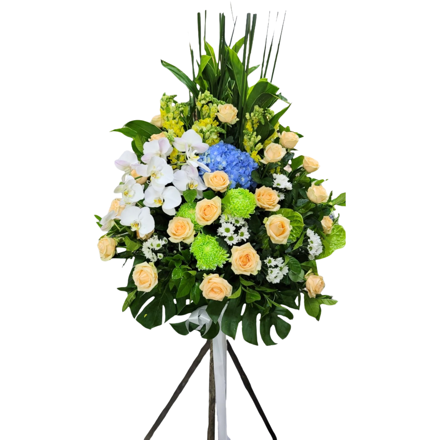 格蘭花店 - 白事花籃 (水竹草、金魚草、綠掌、牡丹菊、蝴蝶蘭、青鐵、小菊及襯花) [FS0023] 喪禮 殯儀 告別式 追思會