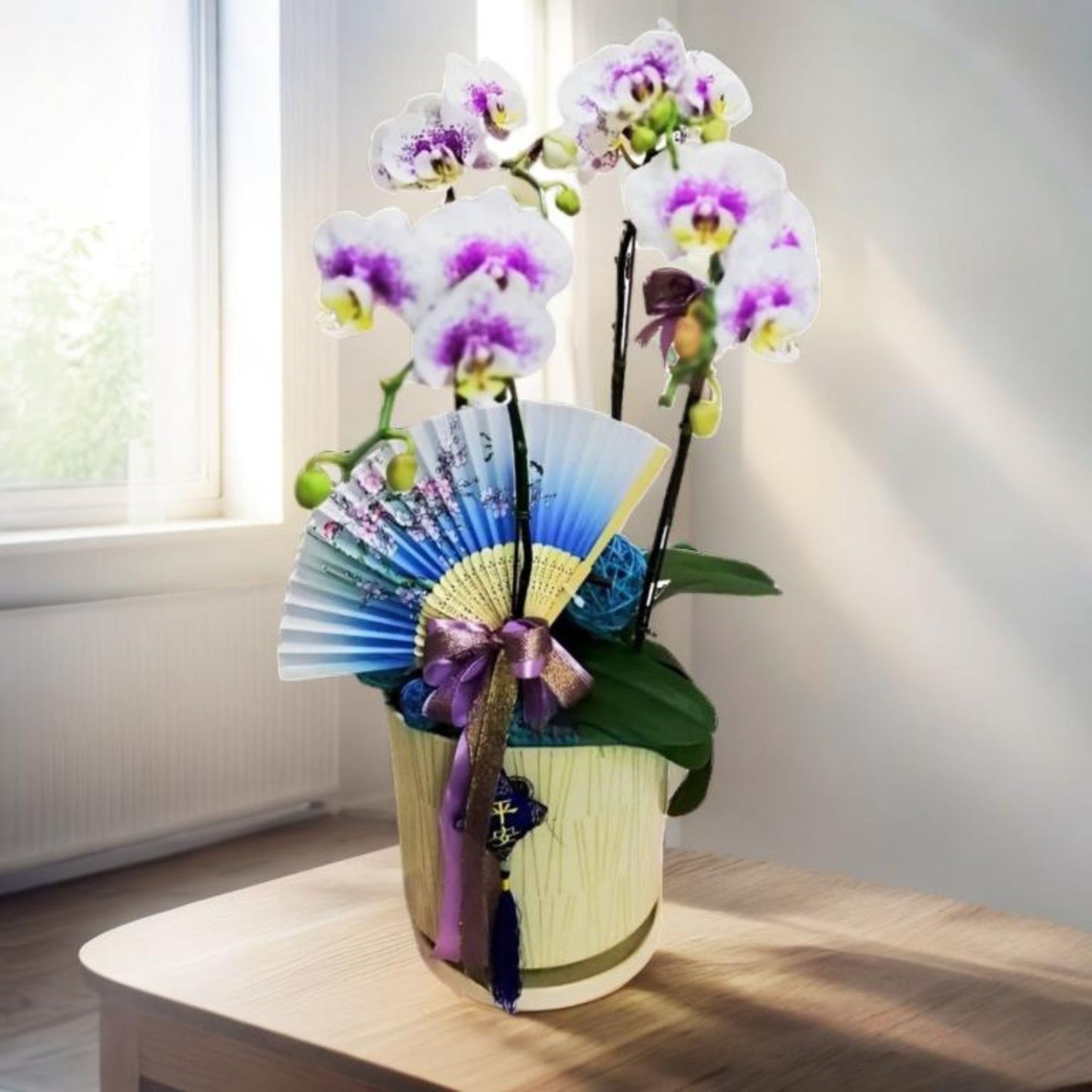 格蘭花店 - 五福臨門大花蝴蝶蘭5棵 [GF00025] 蘭花 辦公室枱花 大堂枱花 開張 新春蘭花 年花 自家蘭花園種植