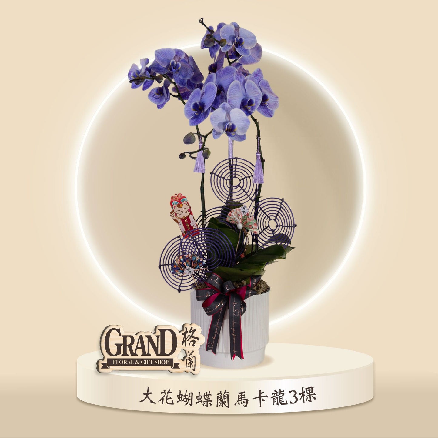 格蘭花店 - 馬卡龍大花蝴蝶蘭3棵 [GF00044] 蘭花 辦公室枱花 大堂枱花 開張 新春蘭花 年花 自家蘭花園種植