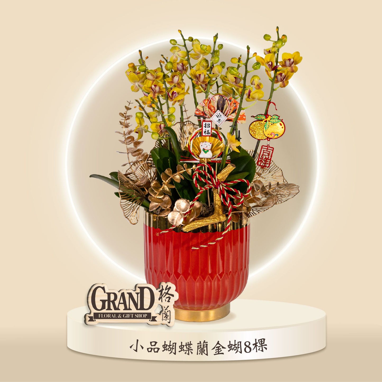 格蘭花店 - 金蝴小品蝴蝶蘭8棵 [GF00049] 蘭花 辦公室枱花 大堂枱花 開張 新春蘭花 年花 自家蘭花園種植