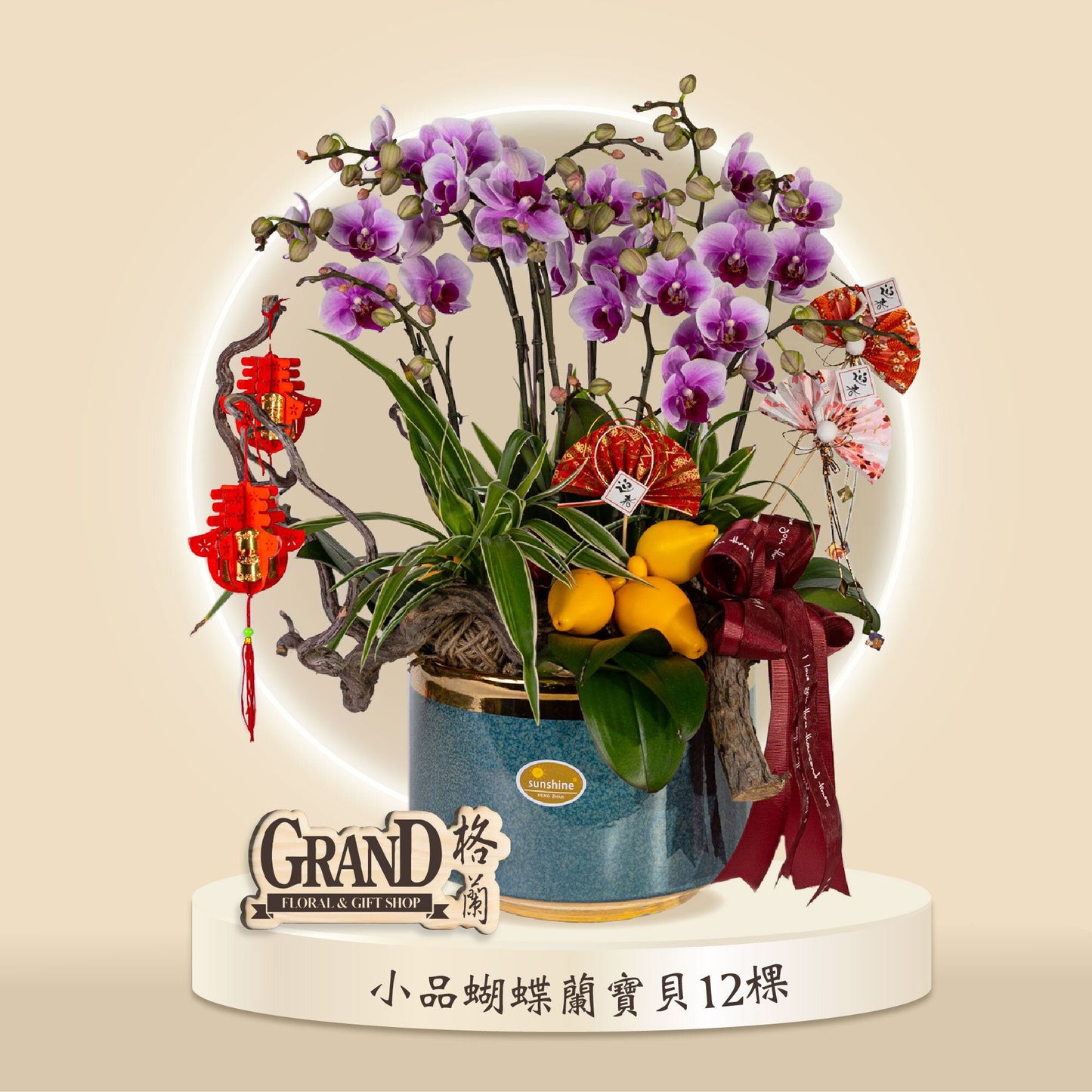 格蘭花店 - 寶貝小品蝴蝶蘭12棵 [GF00050] 蘭花 辦公室枱花 大堂枱花 開張 新春蘭花 年花 自家蘭花園種植