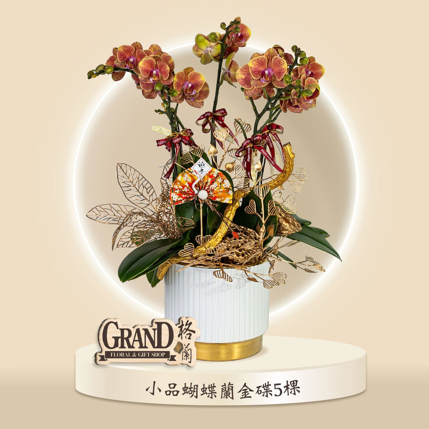 格蘭花店 - 金碟小品蝴蝶蘭5棵 [GF00052] 蘭花 辦公室枱花 大堂枱花 開張 新春蘭花 年花 自家蘭花園種植