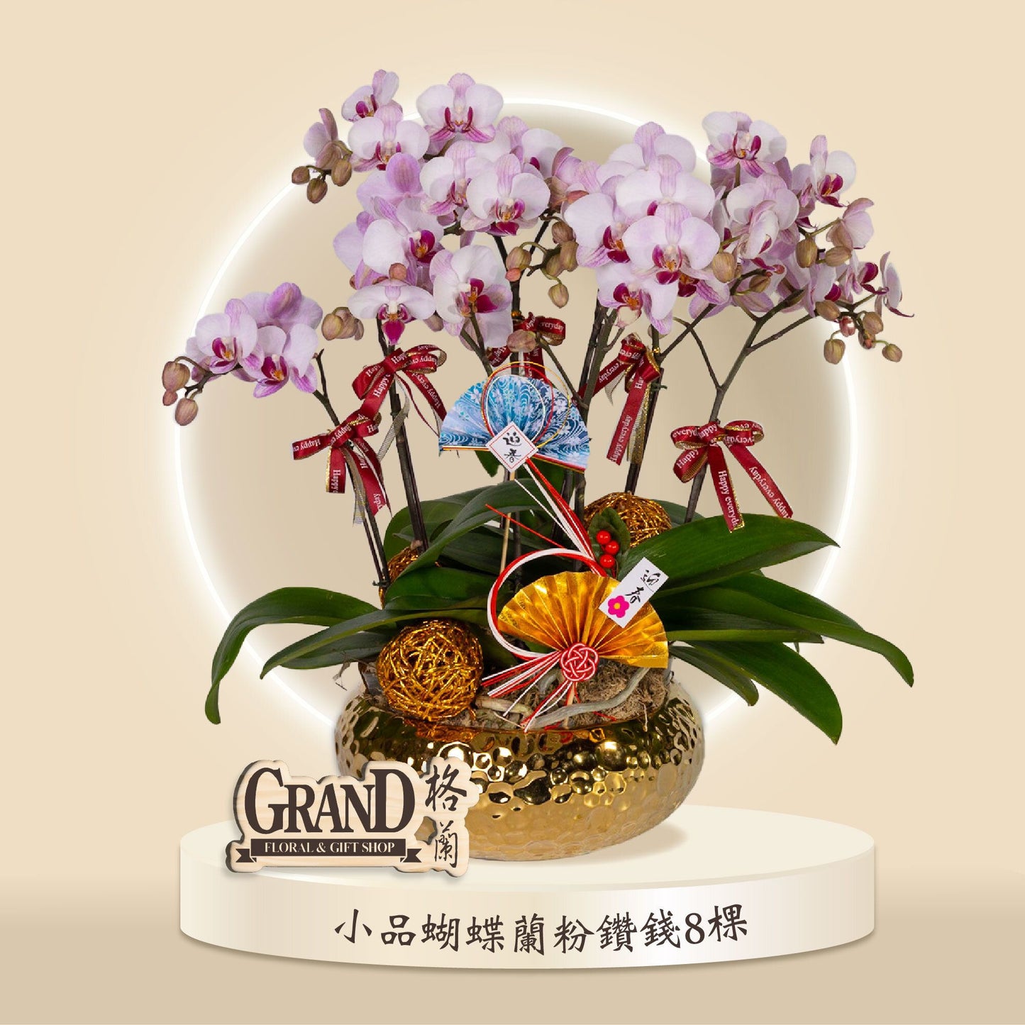格蘭花店 - 粉鑽錢小品蝴蝶蘭8棵 [GF00053] 蘭花 辦公室枱花 大堂枱花 開張 新春蘭花 年花 自家蘭花園種植