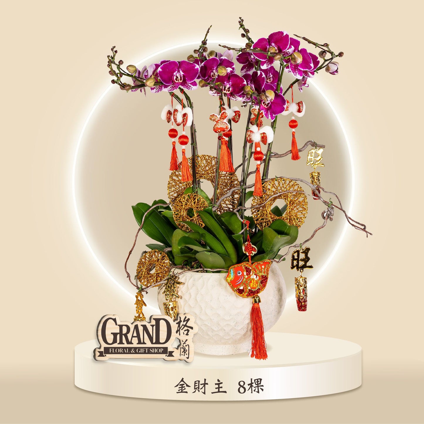 格蘭花店 - 金財主蝴蝶蘭8棵 [GF00069] 蘭花 辦公室枱花 大堂枱花 開張 新春蘭花 年花 自家蘭花園種植