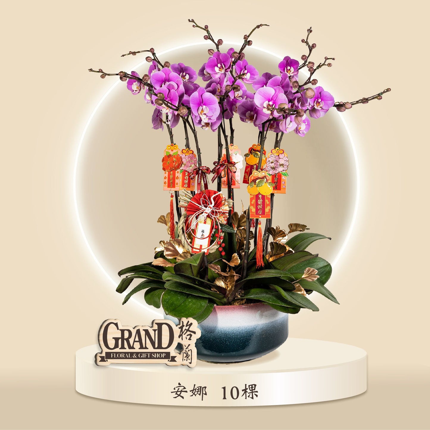 格蘭花店 - 安娜蝴蝶蘭10棵 [GF00070] 蘭花 辦公室枱花 大堂枱花 開張 新春蘭花 年花 自家蘭花園種植