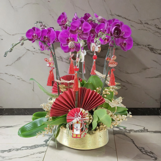 格蘭花店 - 大花蝴蝶蘭8棵 [GF00139] 蘭花 辦公室枱花 大堂枱花 開張 新春蘭花 年花 自家蘭花園種植