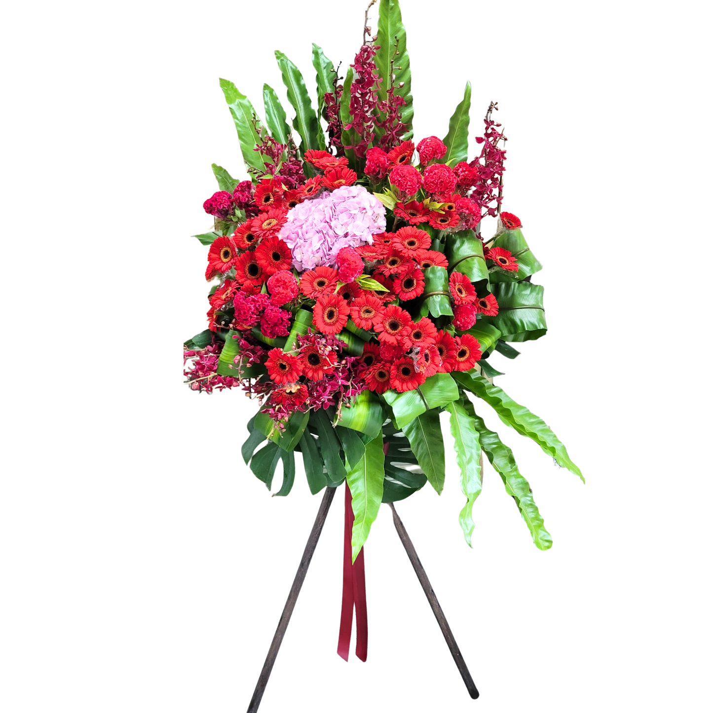 格蘭花店 - 開業大花籃 (6-7呎) (紅色太陽花、大粉繡球花、雞冠花等) [GF00188]