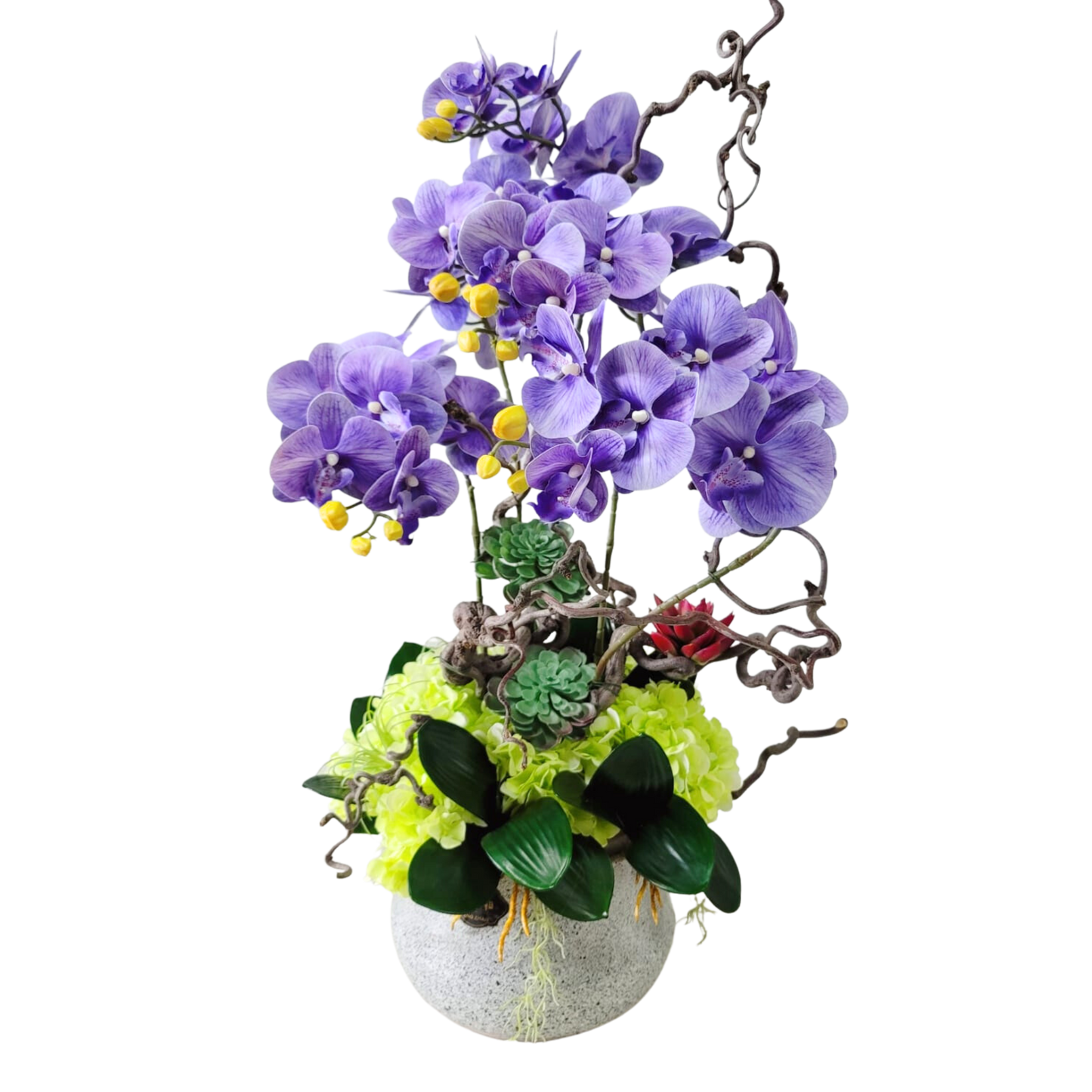 格蘭花店 - 仿真蝴蝶蘭絲花8棵 (紫色) [GF00225] 家居 寫字樓 新居入伙 新舖開張 送禮