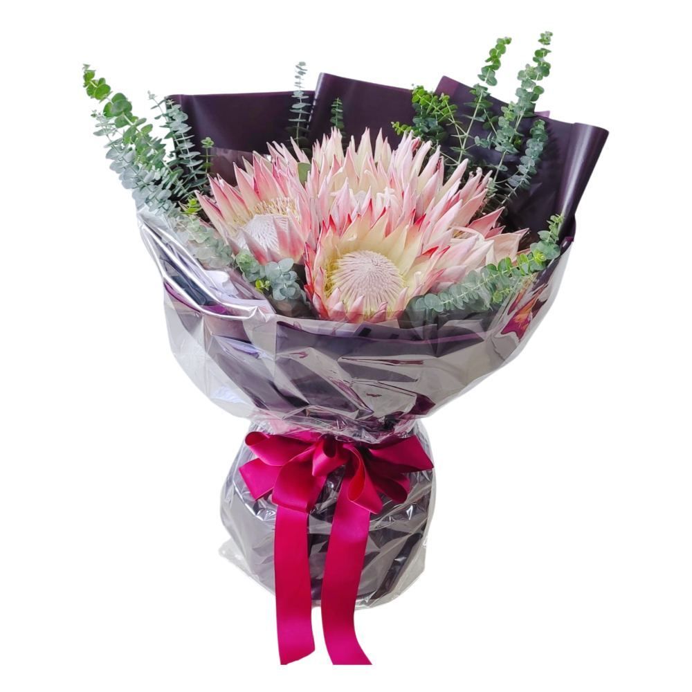 格蘭花店 - 鮮花花束 (帝王花8支、尤加利葉) [GF00254]