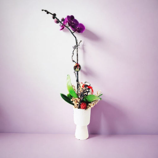 格蘭花店 - 大花蝴蝶蘭 [GF00272] 蘭花 辦公室枱花 大堂枱花 開張 新春蘭花 年花 自家蘭花園種植