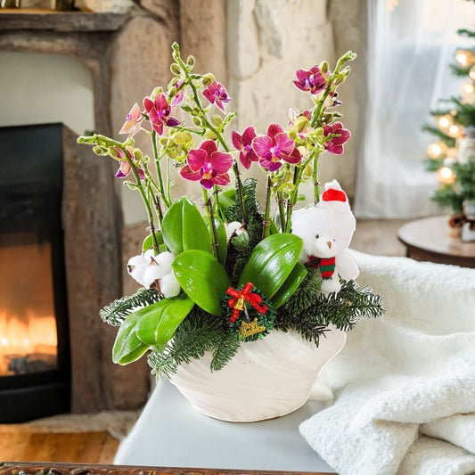 格蘭花店 - 迷你小花蝴蝶蘭5棵 [GF00296] 蘭花 辦公室枱花 大堂枱花 開張 新春蘭花 年花 自家蘭花園種植