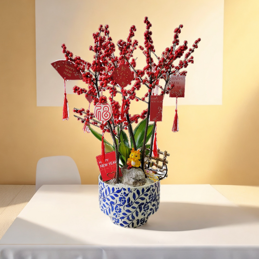 格蘭花店 - 喜喜洋洋 喜慶冬青 [GF00300] 辦公室枱花 大堂枱花 開張 新春 年花