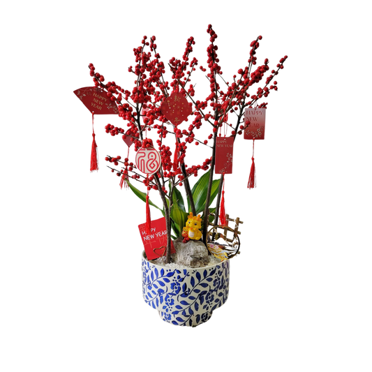 格蘭花店 - 喜喜洋洋 喜慶冬青 [GF00300] 辦公室枱花 大堂枱花 開張 新春 年花