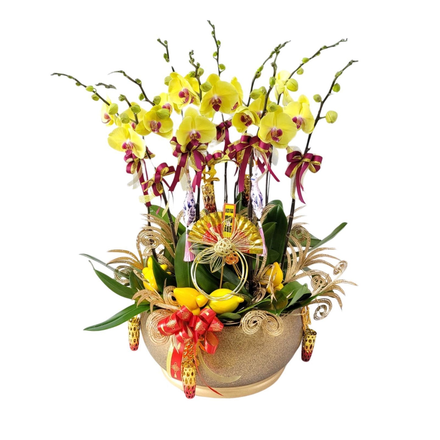 格蘭花店 - 大黃花蝴蝶蘭10棵配喜慶掛飾 [GF00303] 蘭花 辦公室枱花 大堂枱花 開張 新春蘭花 年花 自家蘭花園種植