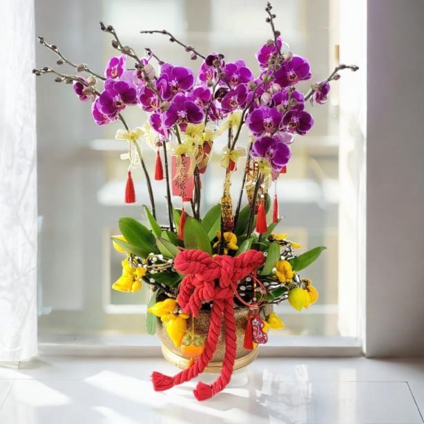 格蘭花店 - 大財主蝴蝶蘭10棵配喜慶掛飾 [GF00304] 蘭花 辦公室枱花 大堂枱花 開張 新春蘭花 年花 自家蘭花園種植