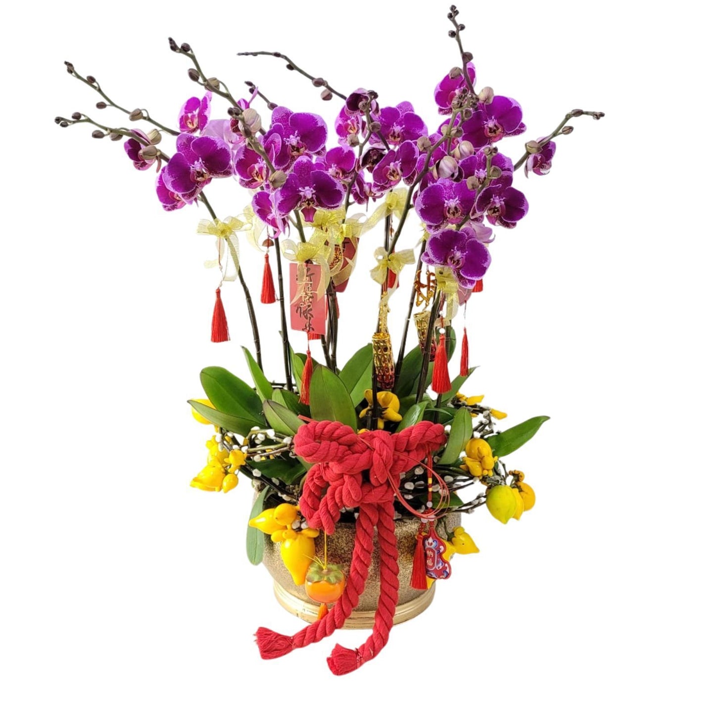 格蘭花店 - 大財主蝴蝶蘭10棵配喜慶掛飾 [GF00304] 蘭花 辦公室枱花 大堂枱花 開張 新春蘭花 年花 自家蘭花園種植