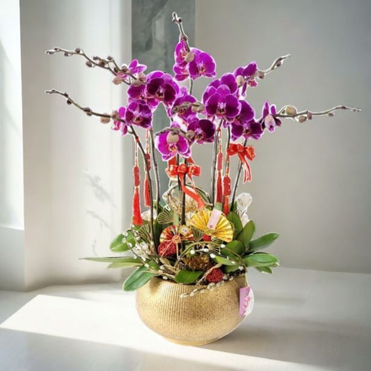 格蘭花店 - 大財主蝴蝶蘭8棵配喜慶掛飾 [GF00305] 蘭花 辦公室枱花 大堂枱花 開張 新春蘭花 年花 自家蘭花園種植