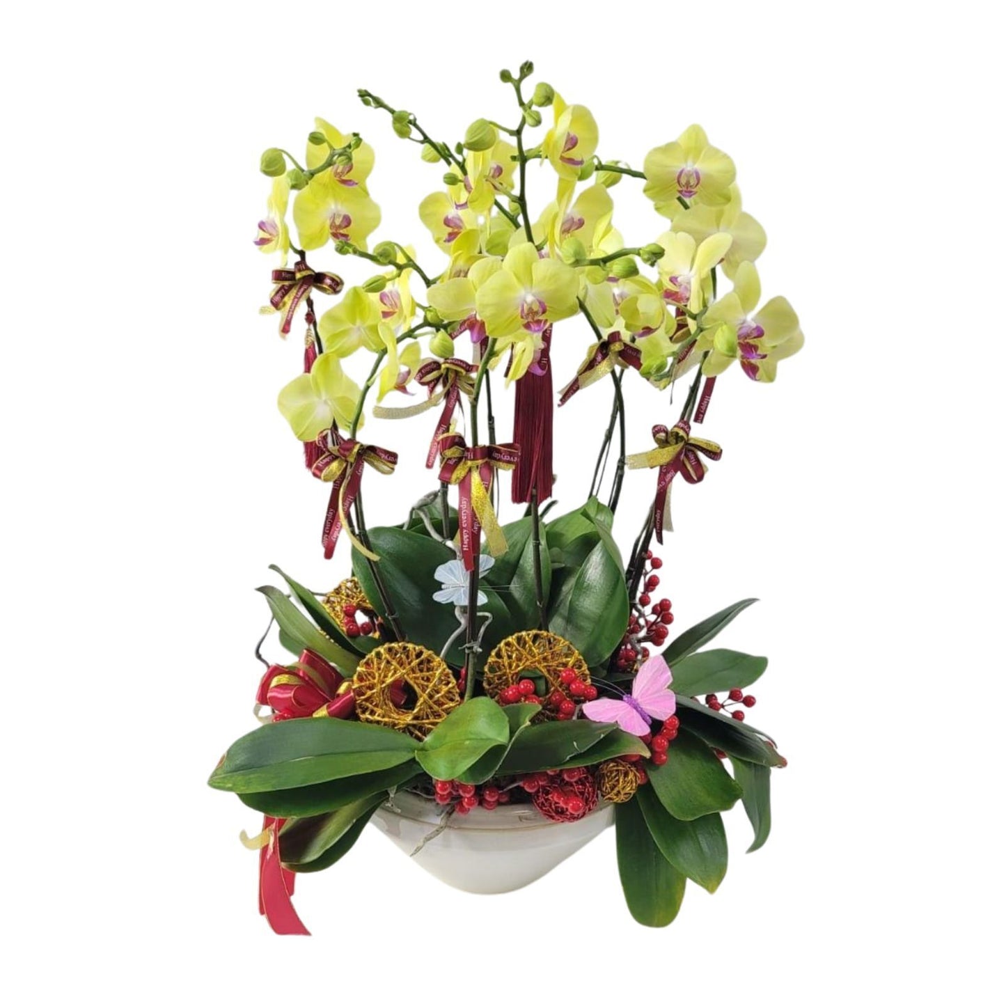 格蘭花店 - 甜格格蝴蝶蘭10棵配喜慶掛飾 [GF00306] 蘭花 辦公室枱花 大堂枱花 開張 新春蘭花 年花 自家蘭花園種植配喜慶掛飾 [GF00306] 蘭花 辦公室枱花 大堂枱花 開張 新春蘭花 年花 自家蘭花園種植