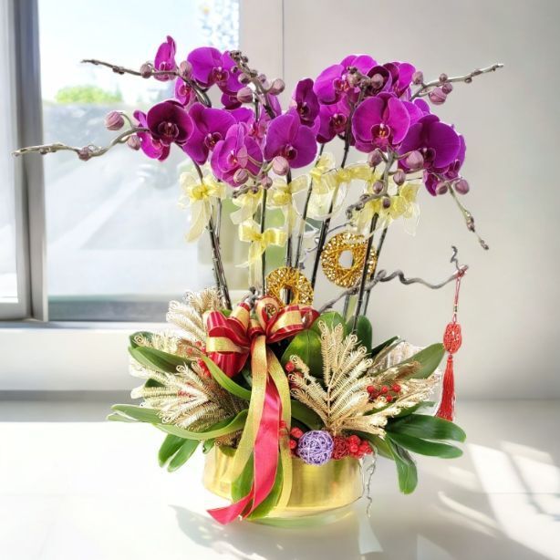 格蘭花店 - 大辣椒蝴蝶蘭10棵配喜慶掛飾 [GF00310] 蘭花 辦公室枱花 大堂枱花 開張 新春蘭花 年花 自家蘭花園種植