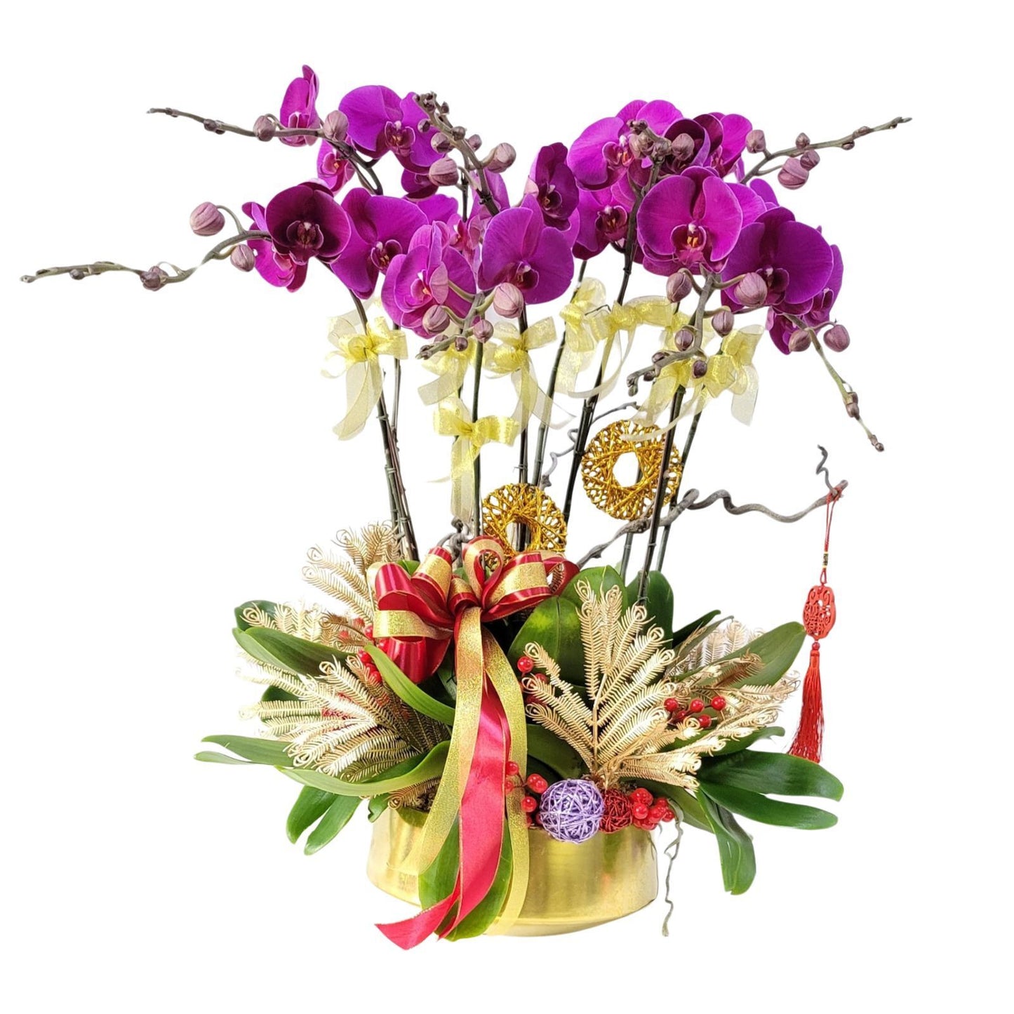 格蘭花店 - 大辣椒蝴蝶蘭10棵配喜慶掛飾 [GF00310] 蘭花 辦公室枱花 大堂枱花 開張 新春蘭花 年花 自家蘭花園種植