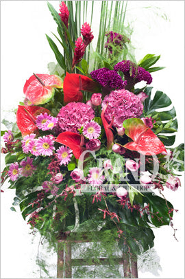格蘭花店 - 開張花籃 (繡球花、太陽花、紅掌、雞冠花、及其他襯花) [GO16-12]
