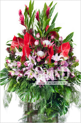 格蘭花店 - 開張花籃 (帝王花、玫瑰、紅掌、百合、及其他襯花) [GO16-17]
