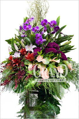 格蘭花店 - 開張花籃 (百合、雞冠花、粉綠掌、蝴蝶蘭及其他襯花) [GO16-4]