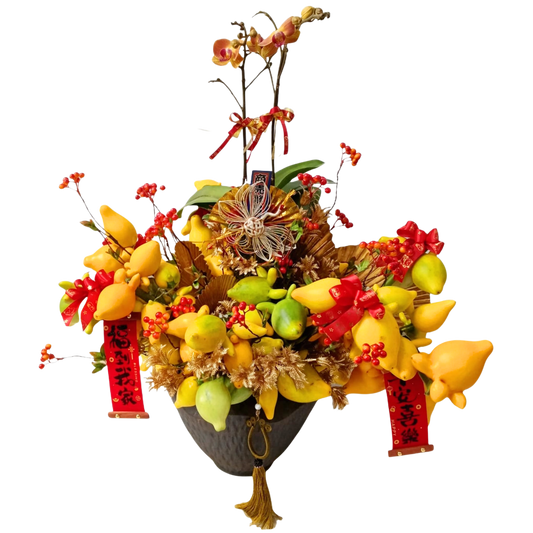 格蘭花店 - 金銀滿屋五代果及小品蝴蝶蘭2棵 [NH26002] 蘭花 辦公室枱花 大堂枱花 開張 新春蘭花 年花 自家蘭花園種植