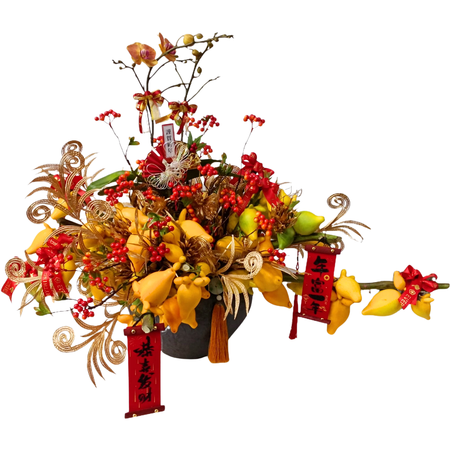 格蘭花店 - 幸福滿屋五代果及小品蝴蝶蘭2棵 [NH26003] 蘭花 辦公室枱花 大堂枱花 開張 新春蘭花 年花 自家蘭花園種植