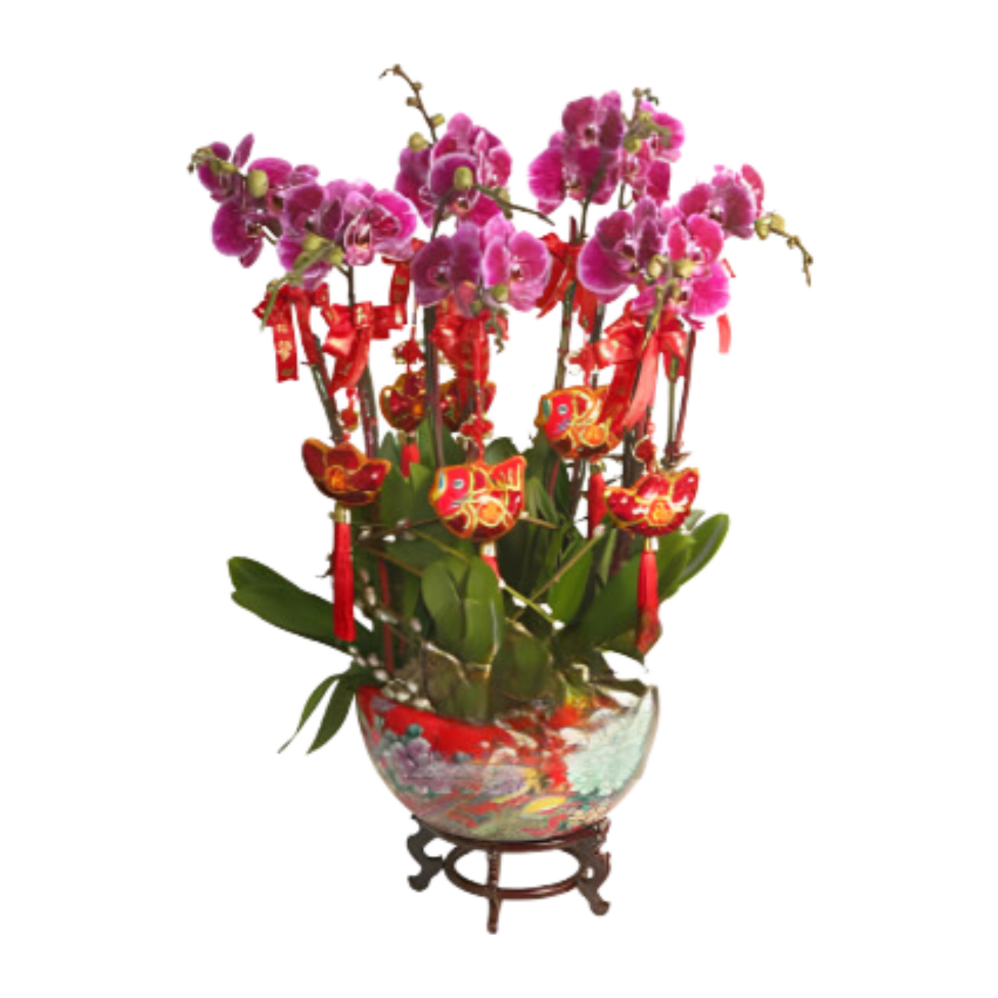 格蘭花店 - 迎春接福蝴蝶蘭10棵 [NY13OR-29] 蘭花 辦公室枱花 大堂枱花 開張 新春蘭花 年花 自家蘭花園種植