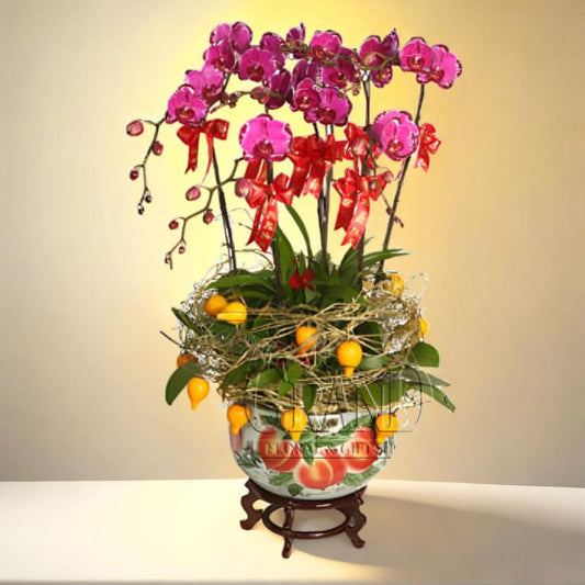 格蘭花店 - 如意吉祥蝴蝶蘭6棵配五代果配飾 [NY13OR-30] 蘭花 辦公室枱花 大堂枱花 開張 新春蘭花 年花 自家蘭花園種植