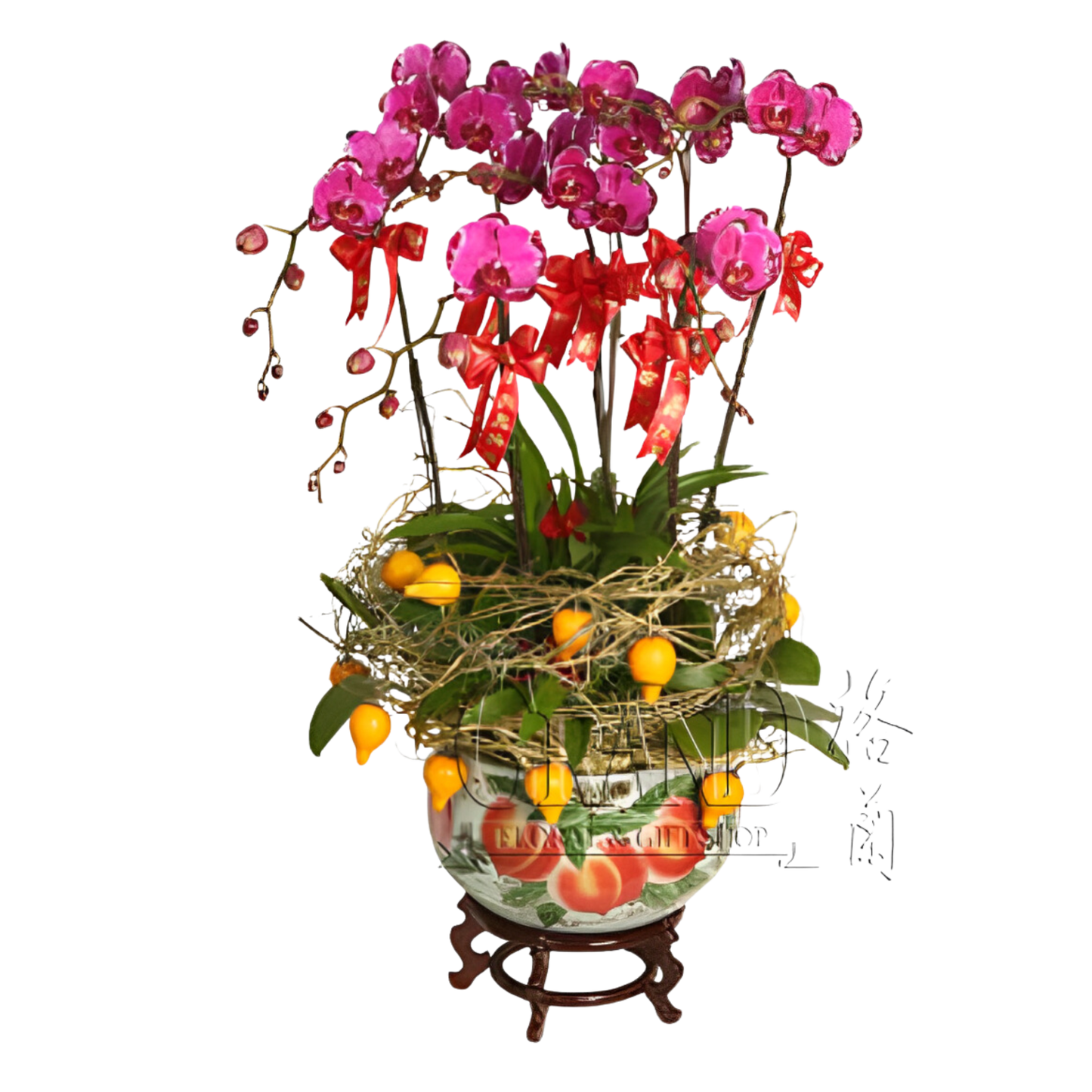 格蘭花店 - 如意吉祥蝴蝶蘭6棵配五代果配飾 [NY13OR-30] 蘭花 辦公室枱花 大堂枱花 開張 新春蘭花 年花 自家蘭花園種植