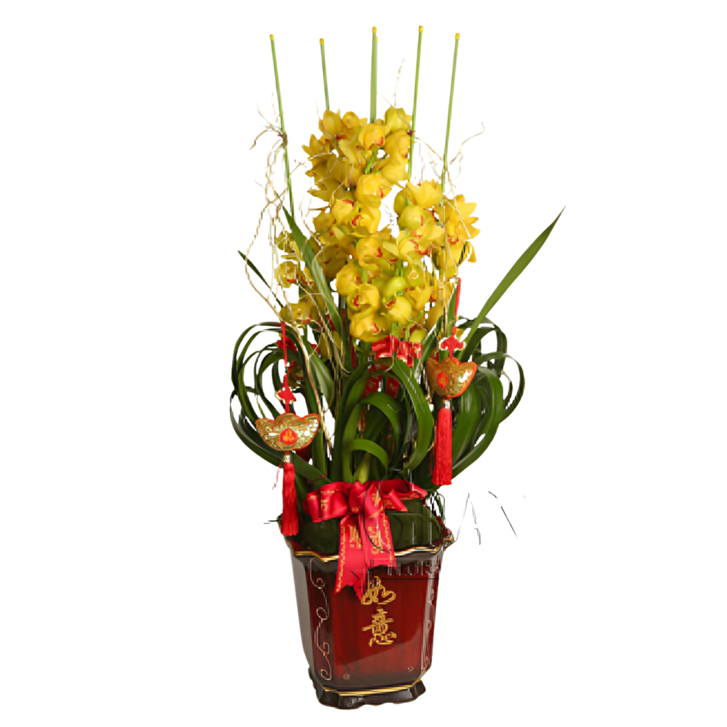 格蘭花店 - 萬事如意大花金黃蕙蘭5棵 [NY13OR-34] 蘭花 辦公室枱花 大堂枱花 開張 新春蘭花 年花 自家蘭花園種植