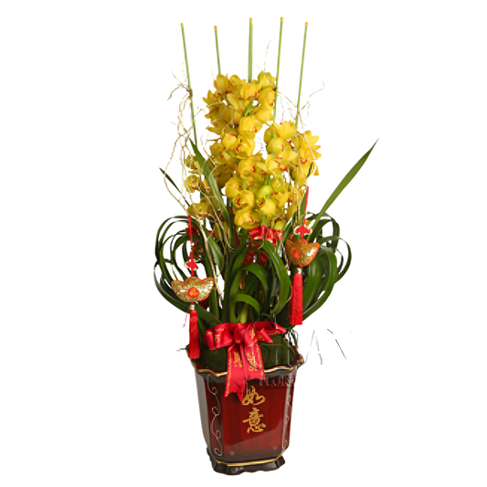 格蘭花店 - 萬事如意大花金黃蕙蘭5棵 [NY13OR-34] 蘭花 辦公室枱花 大堂枱花 開張 新春蘭花 年花 自家蘭花園種植