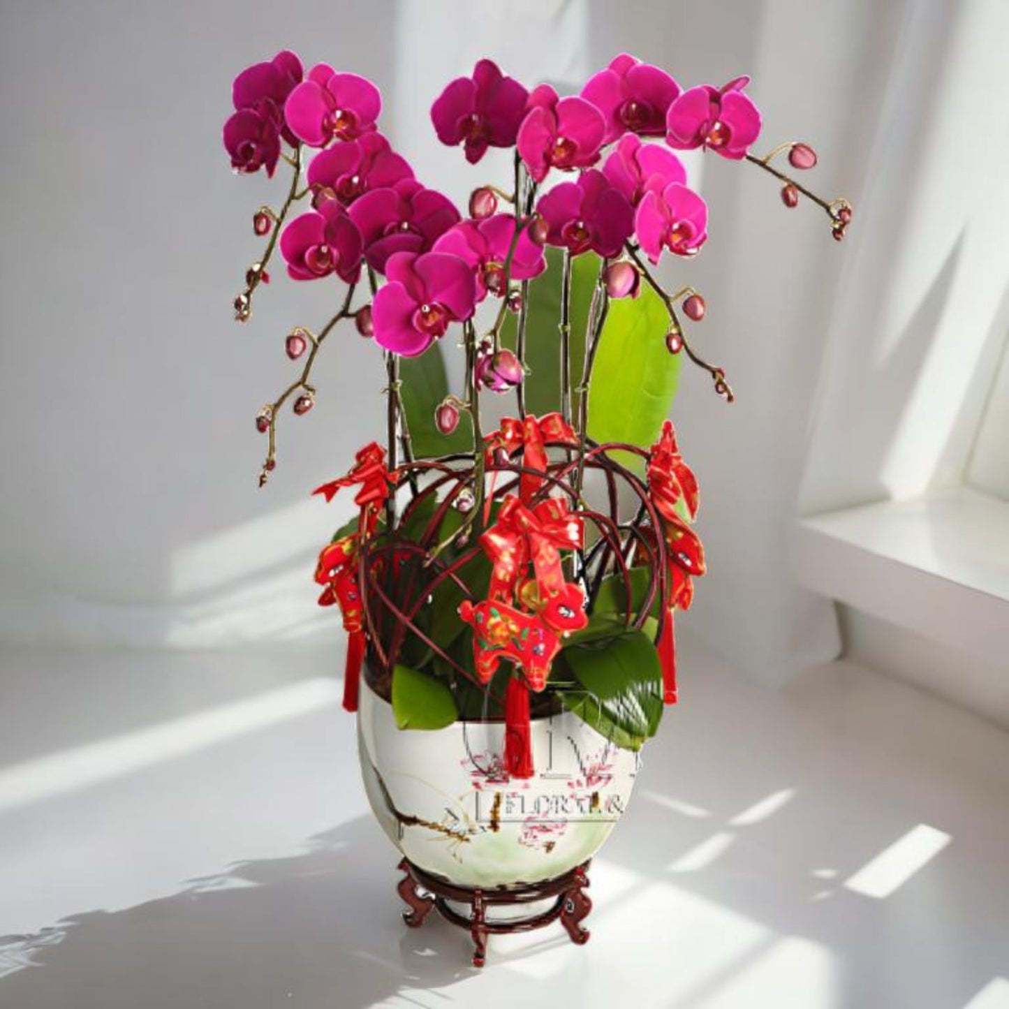格蘭花店 - 家肥屋潤蝴蝶蘭6棵 [NY13OR-37] 蘭花 辦公室枱花 大堂枱花 開張 新春蘭花 年花 自家蘭花園種植