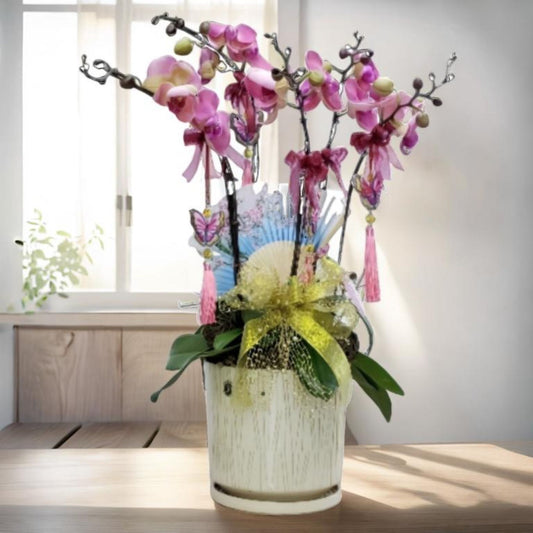 格蘭花店 - 紅運當頭蝴蝶蘭5棵 [NY19OR-02] 蘭花 辦公室枱花 大堂枱花 開張 新春蘭花 年花 自家蘭花園種植