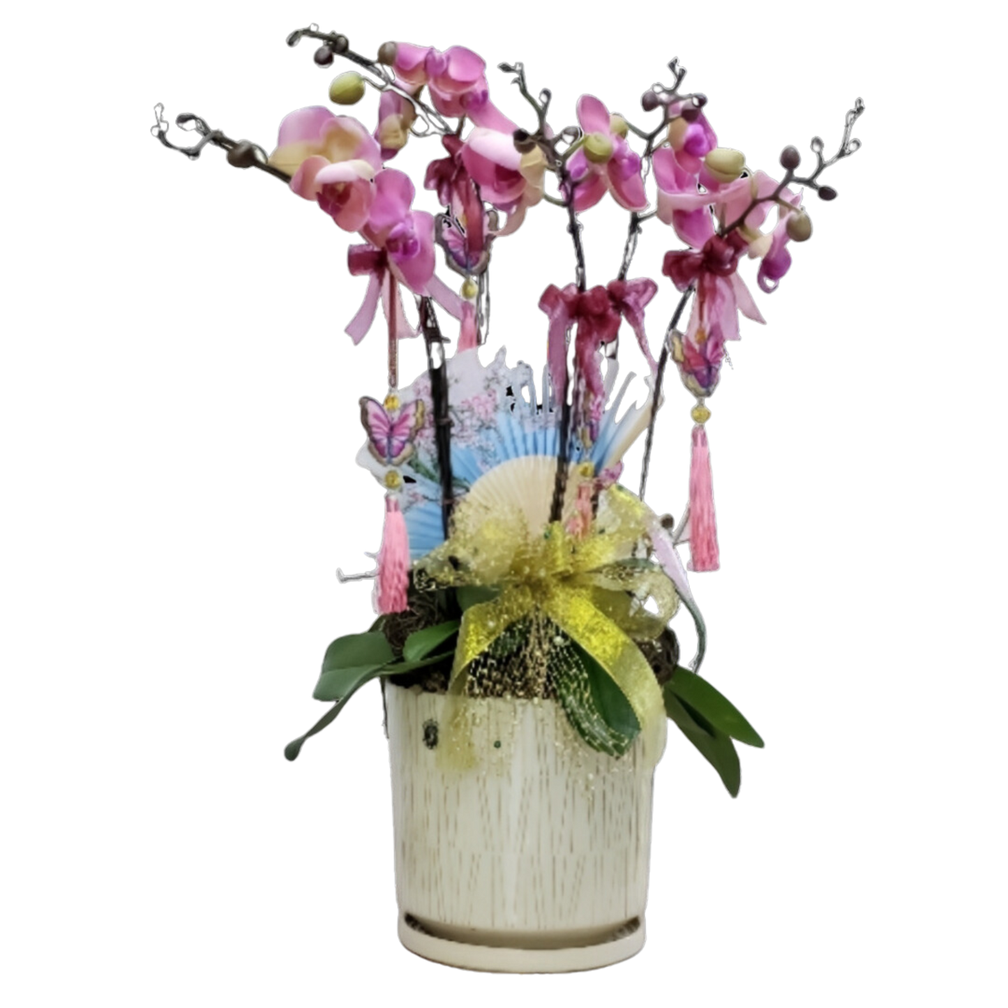 格蘭花店 - 紅運當頭蝴蝶蘭5棵 [NY19OR-02] 蘭花 辦公室枱花 大堂枱花 開張 新春蘭花 年花 自家蘭花園種植