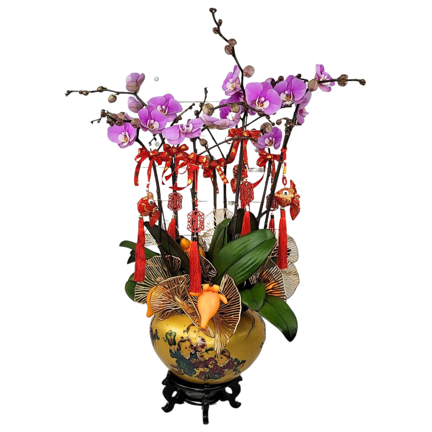 格蘭花店 - 運轉乾坤大花蝴蝶蘭6棵 [NY2021R-08] 蘭花 辦公室枱花 大堂枱花 開張 新春蘭花 年花 自家蘭花園種植