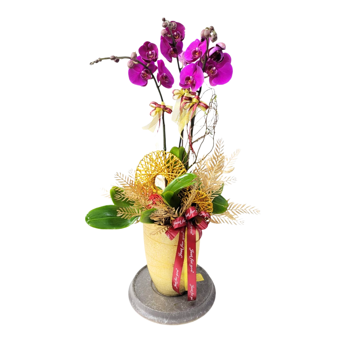 格蘭花店 - 大辣椒大花蝴蝶蘭3菖 [PO011] 蘭花 辦公室枱花 大堂枱花 開張 新春蘭花 年花 自家蘭花園種植