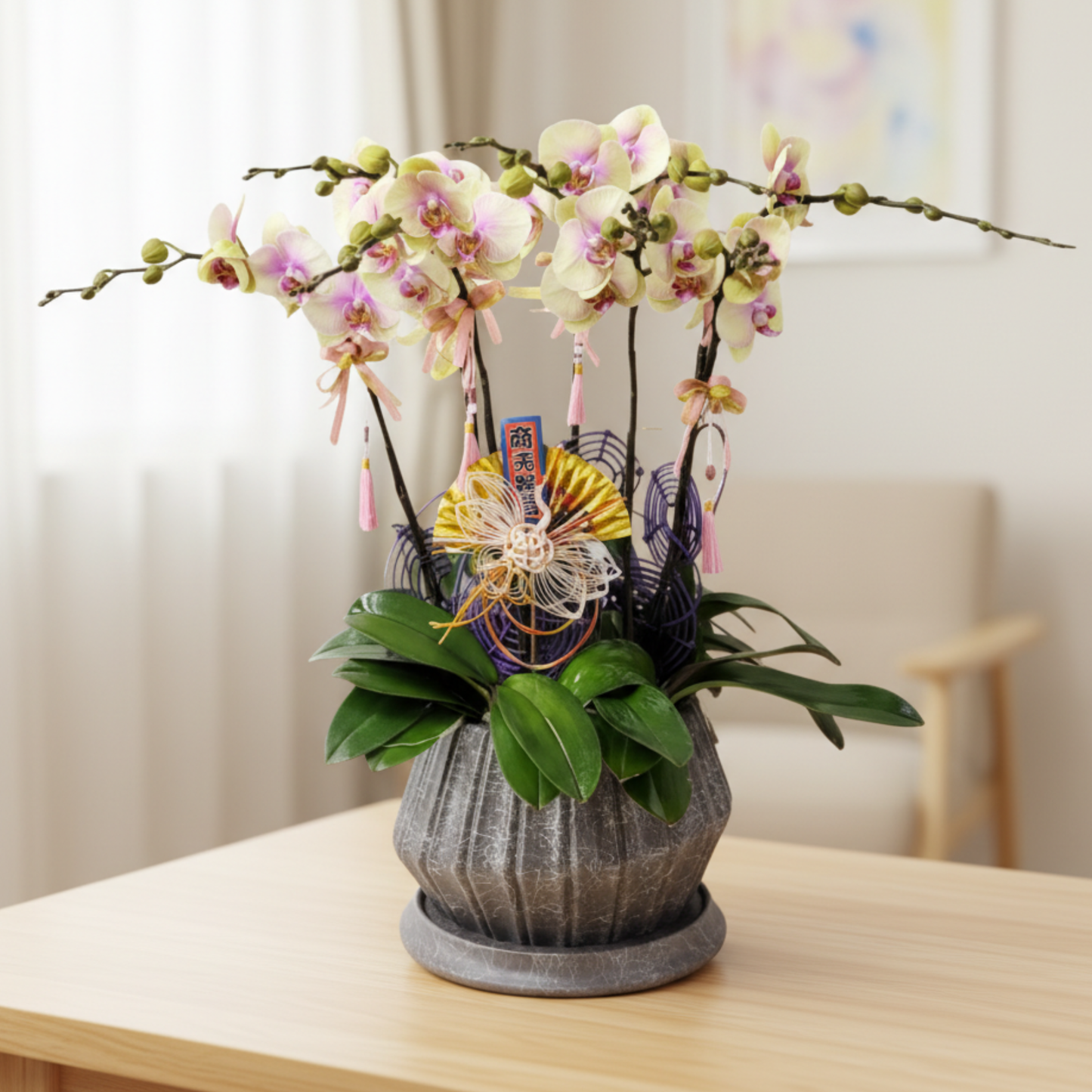 格蘭花店 - 424大花蝴蝶蘭6菖 [PO019] 蘭花 辦公室枱花 大堂枱花 開張 新春蘭花 年花 自家蘭花園種植