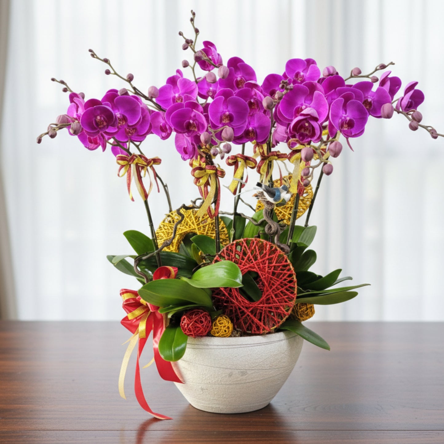 格蘭花店 - 紅寶石大花蝴蝶蘭10菖 [PO027] 蘭花 辦公室枱花 大堂枱花 開張 新春蘭花 年花 自家蘭花園種植