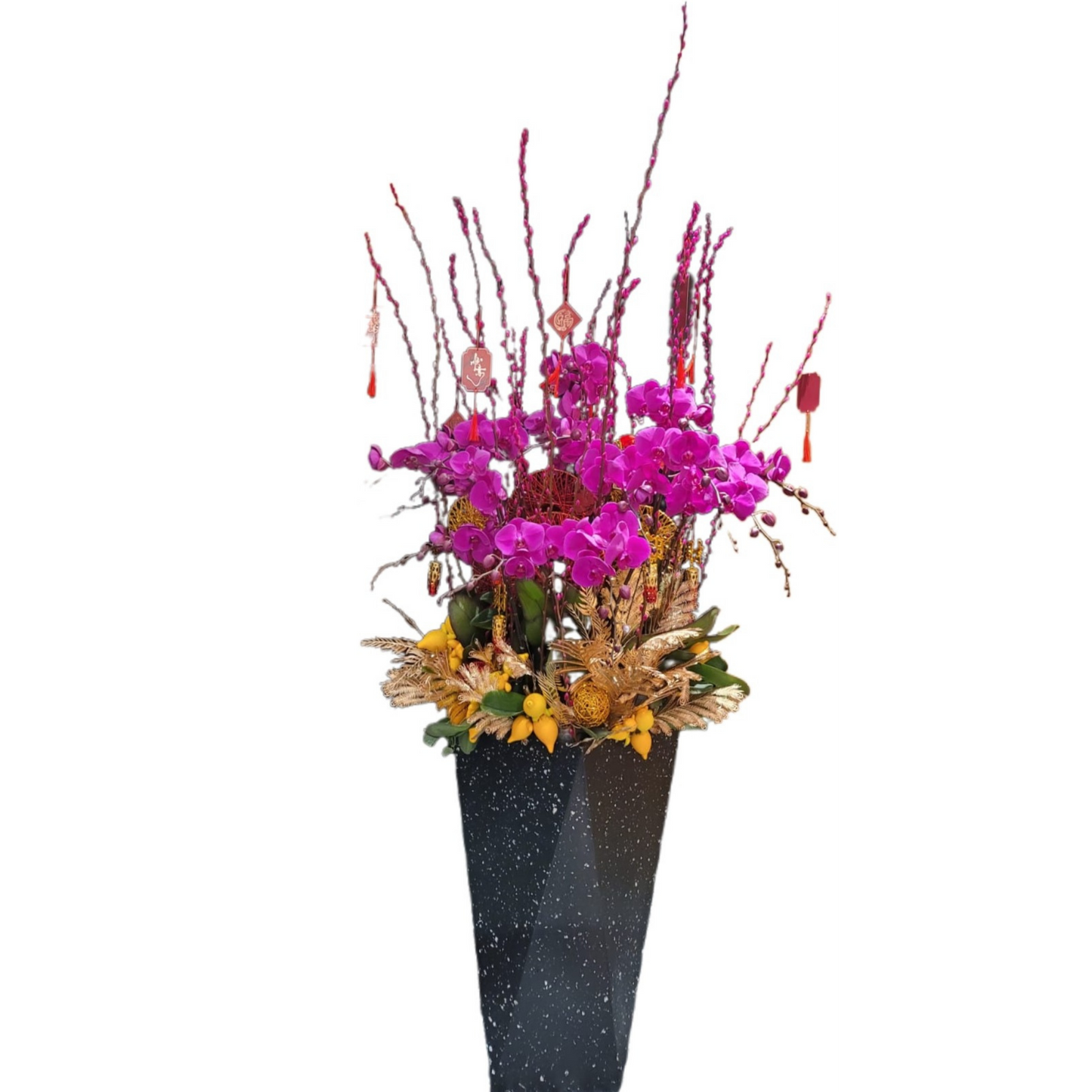 格蘭花店 - 中國紅大花蝴蝶蘭10菖 [PO028] 蘭花 辦公室枱花 大堂枱花 開張 新春蘭花 年花 自家蘭花園種植