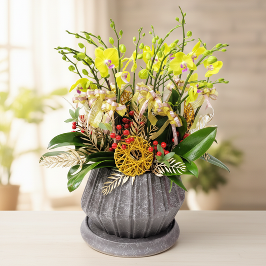 格蘭花店 - 甜格格中花蝴蝶蘭10菖 [PO029] 蘭花 辦公室枱花 大堂枱花 開張 新春蘭花 年花 自家蘭花園種植