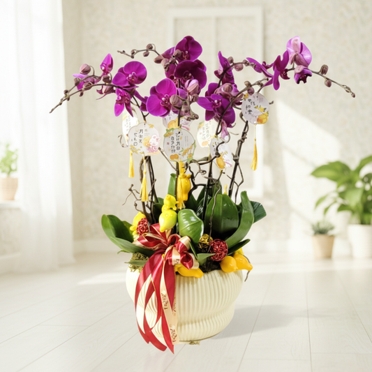 格蘭花店 - 大辣椒大花蝴蝶蘭8菖 [PO034] 蘭花 辦公室枱花 大堂枱花 開張 新春蘭花 年花 自家蘭花園種植