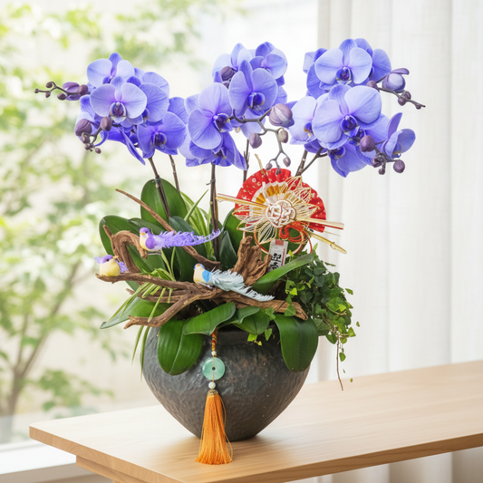 格蘭花店 - 馬卡龍紫色大花蝴蝶蘭6棵 [PON25001] 蘭花 辦公室枱花 大堂枱花 開張 新春蘭花 年花 自家蘭花園種植