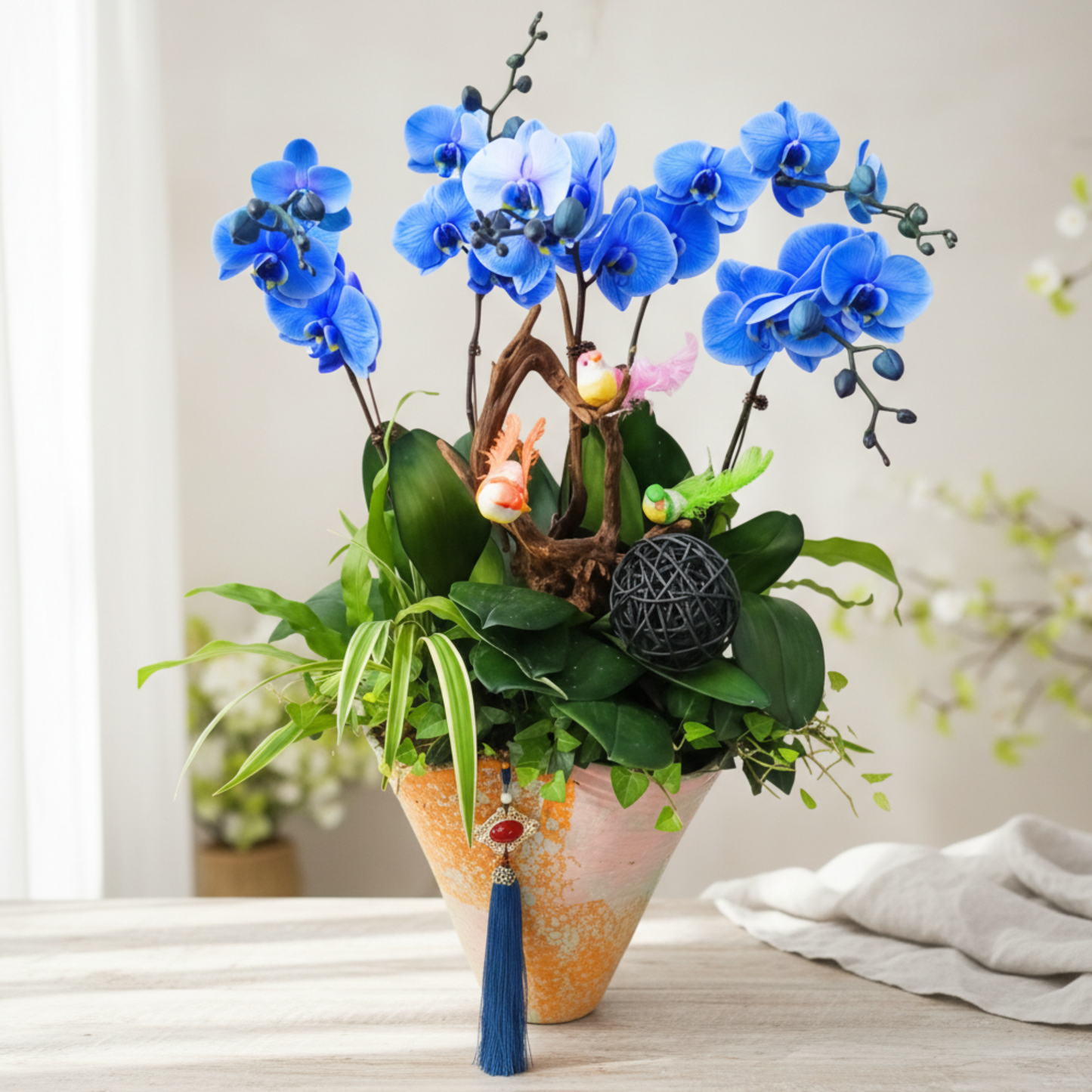 格蘭花店 - 馬卡龍藍色大花蝴蝶蘭5棵 [PON25002] 蘭花 辦公室枱花 大堂枱花 開張 新春蘭花 年花 自家蘭花園種植